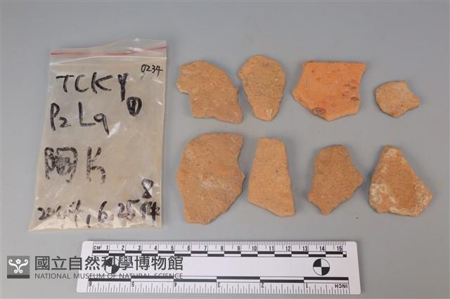 陶片藏品圖，第2張