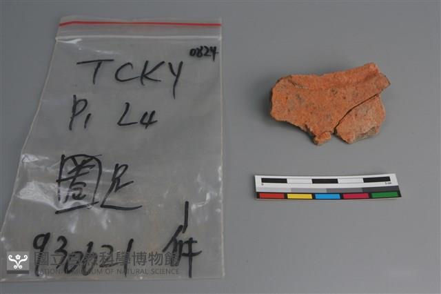 陶片藏品圖，第2張