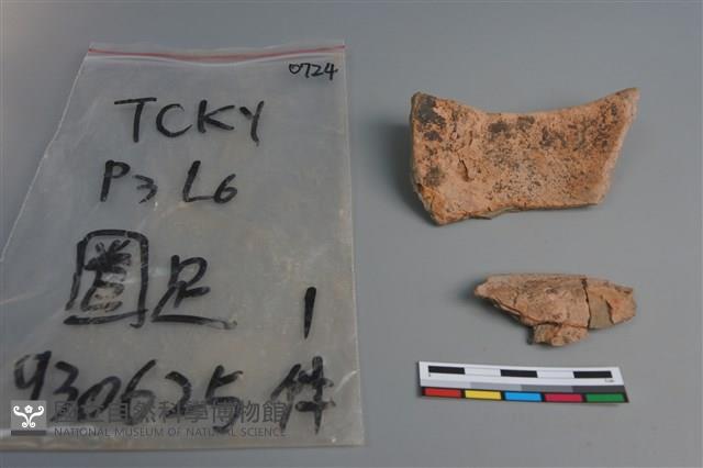 陶片藏品圖，第2張