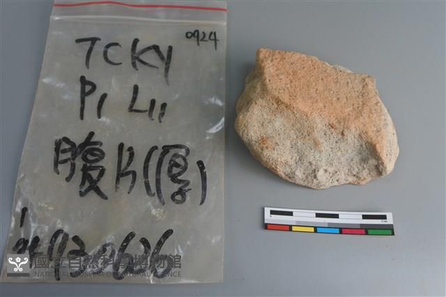 陶片藏品圖，第2張