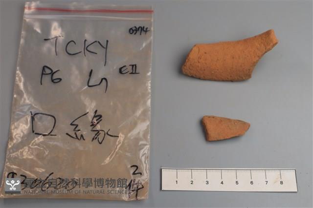 陶片藏品圖，第2張