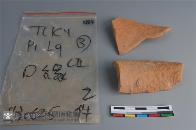 陶片藏品圖，第2張