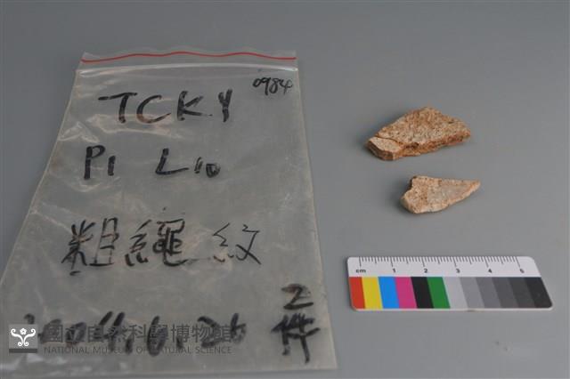 陶片藏品圖，第2張