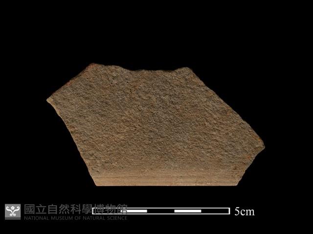 石鋸藏品圖，第2張