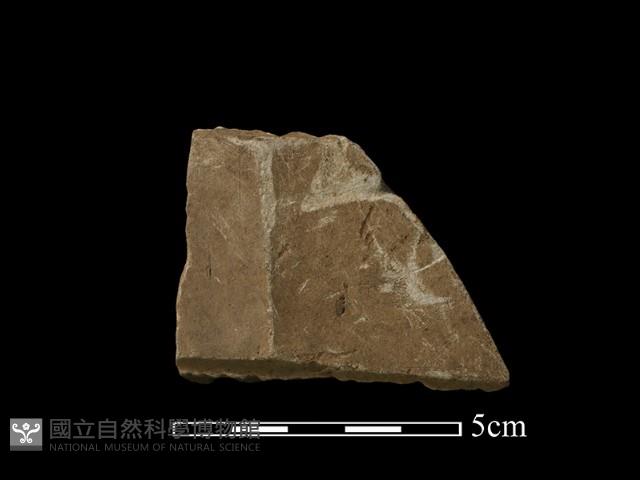 帶加工痕石材藏品圖，第3張