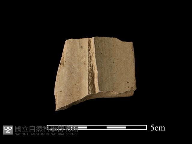帶加工痕石材藏品圖，第1張