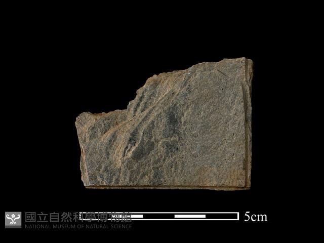 帶加工痕石材藏品圖，第1張