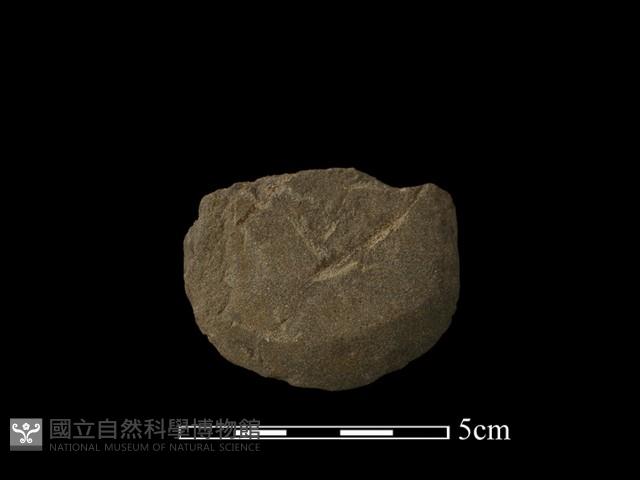 磨製斧鋤形器藏品圖，第2張