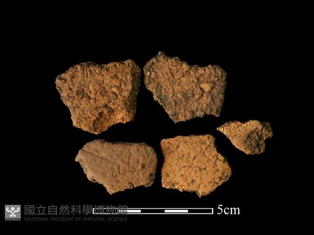 陶片(碎片)藏品圖，第2張