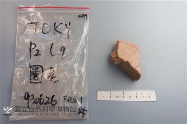 陶片藏品圖，第1張