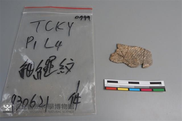 陶片藏品圖，第1張