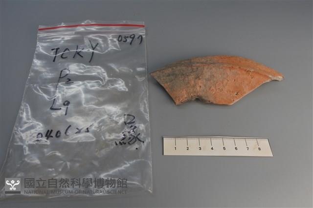 陶片藏品圖，第1張