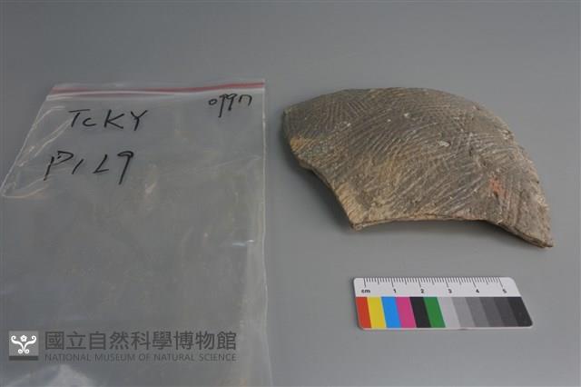 陶片藏品圖，第1張