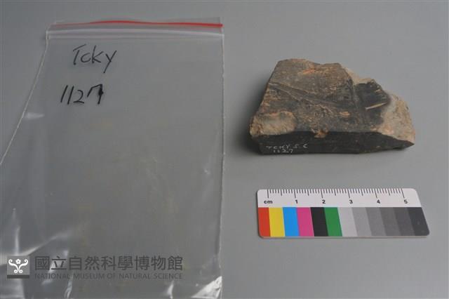 陶片藏品圖，第1張