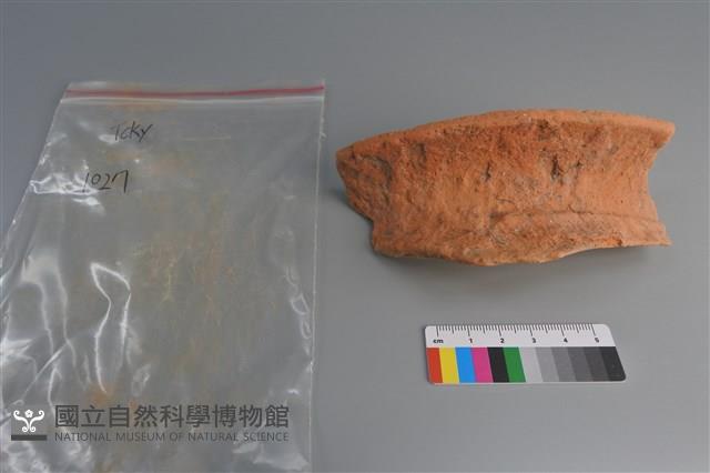 陶片藏品圖，第1張