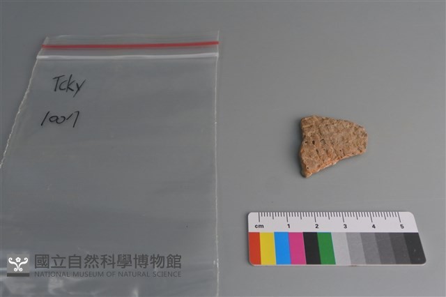 陶片藏品圖，第1張