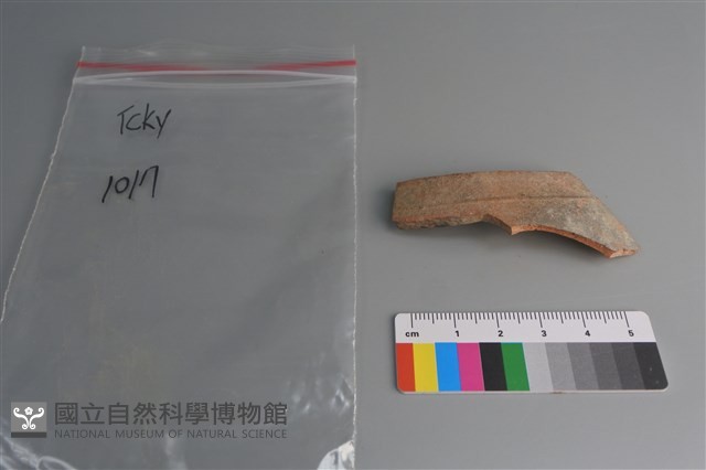 陶片藏品圖，第1張