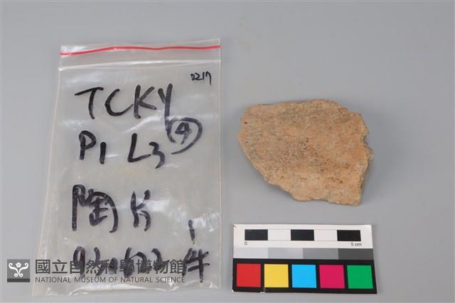 陶片藏品圖，第1張