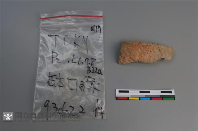 陶片藏品圖，第1張