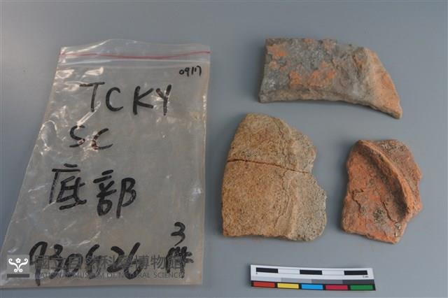 陶片藏品圖，第1張