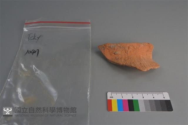 陶片藏品圖，第1張