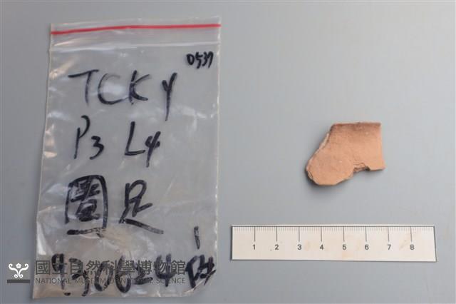 陶片藏品圖，第1張