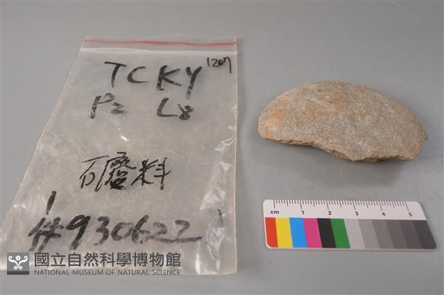 帶加工痕石材藏品圖，第1張