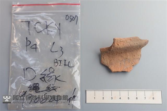 陶片藏品圖，第1張