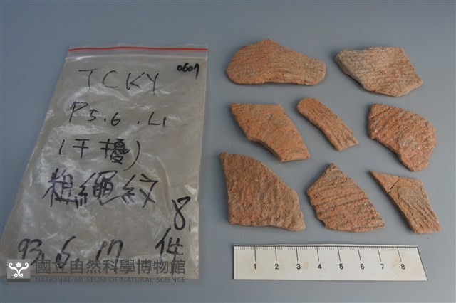 陶片藏品圖，第1張