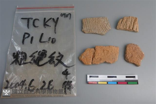 陶片藏品圖，第1張