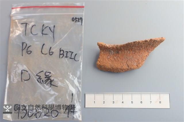 陶片藏品圖，第1張