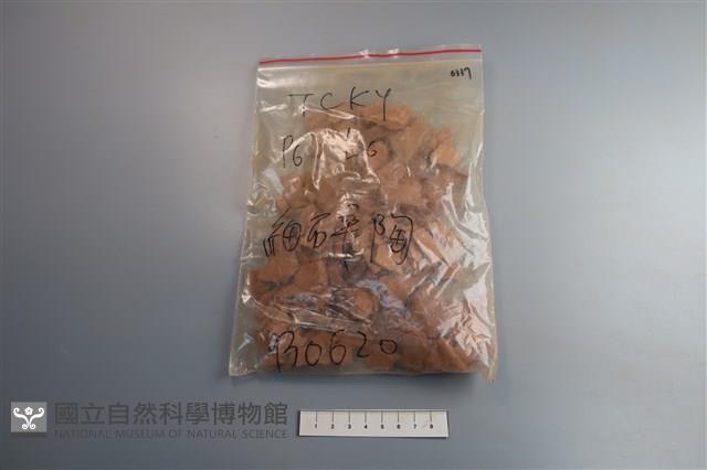 陶片藏品圖，第1張