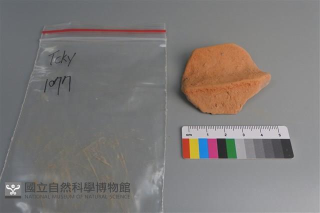 陶片藏品圖，第1張