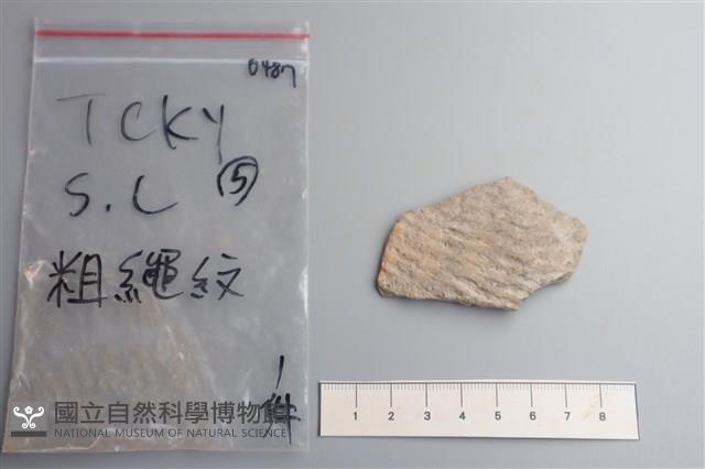 陶片藏品圖，第1張