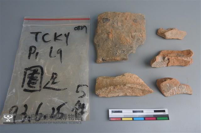 陶片藏品圖，第1張