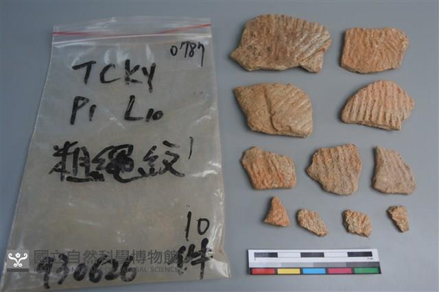 陶片藏品圖，第1張