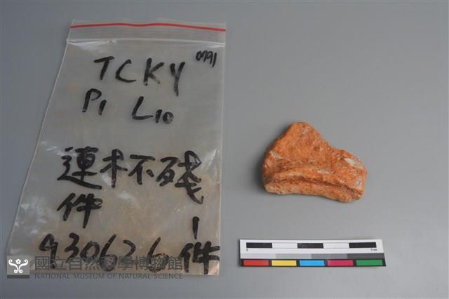 連杯形器藏品圖，第1張