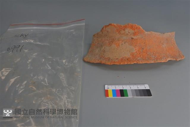 陶片藏品圖，第1張