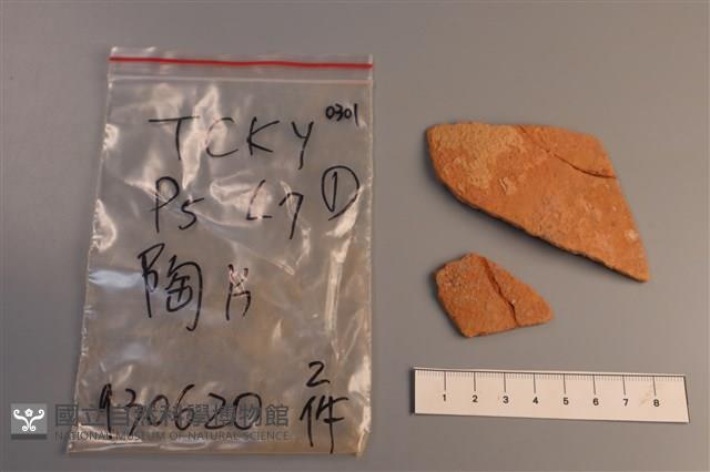 陶片藏品圖，第1張