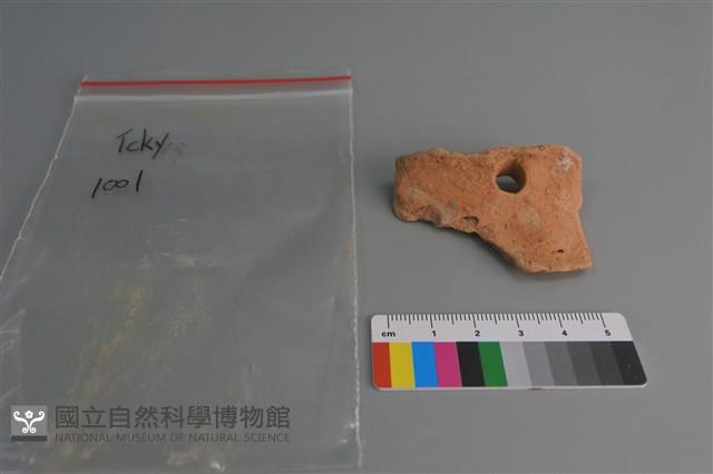 陶片藏品圖，第1張