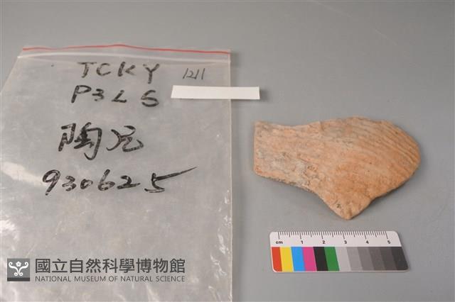 陶片藏品圖，第1張