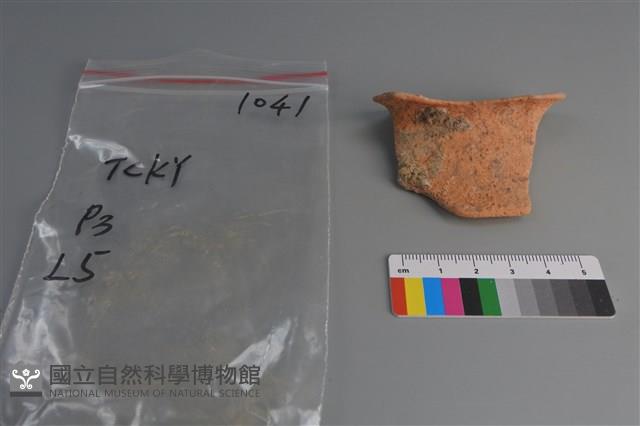 陶片藏品圖，第1張