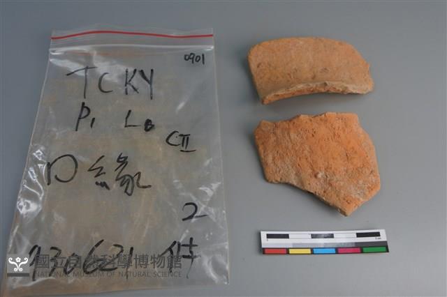 陶片藏品圖，第1張