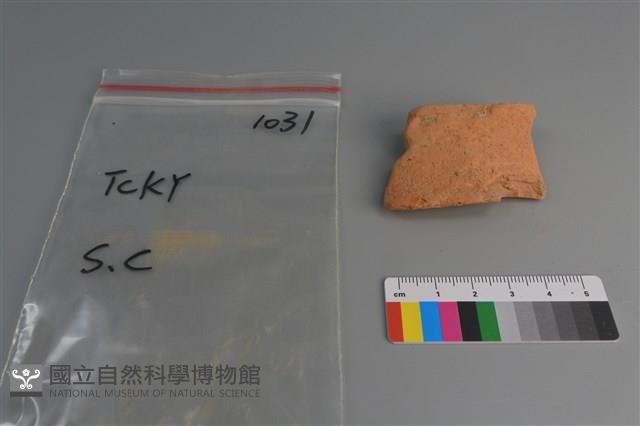 陶片藏品圖，第1張