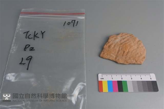 陶片藏品圖，第1張