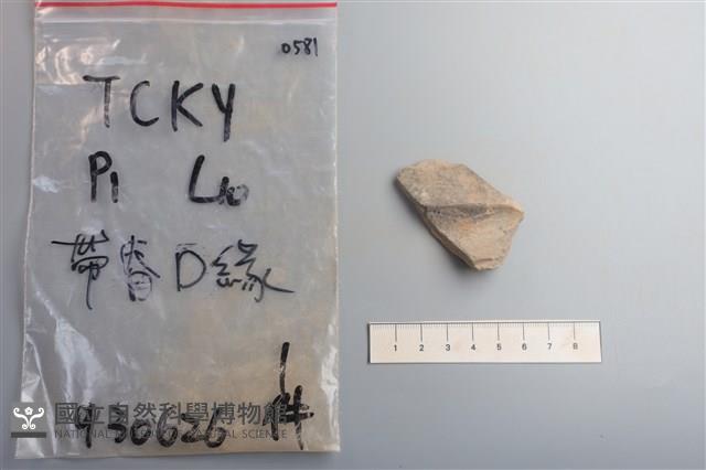 陶片藏品圖，第1張