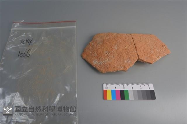 陶片藏品圖，第1張