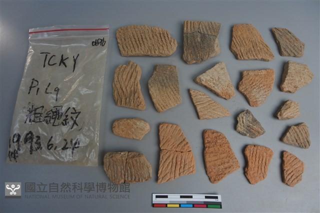 陶片藏品圖，第1張