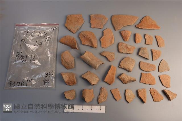 陶片藏品圖，第1張