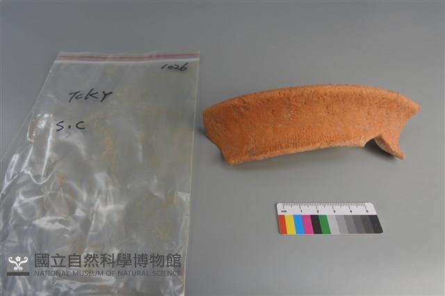 陶片藏品圖，第1張